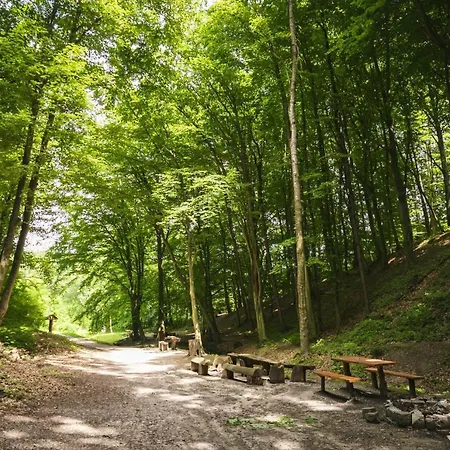 Jenny Vendeghaz 別荘