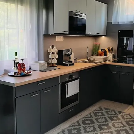 Jenny Vendeghaz ザラカロシュ