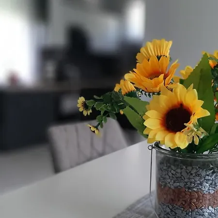 別荘 Jenny Vendeghaz *